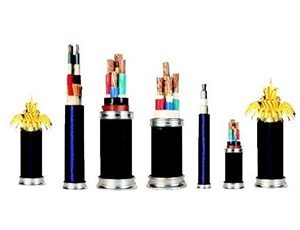POWER CABLE